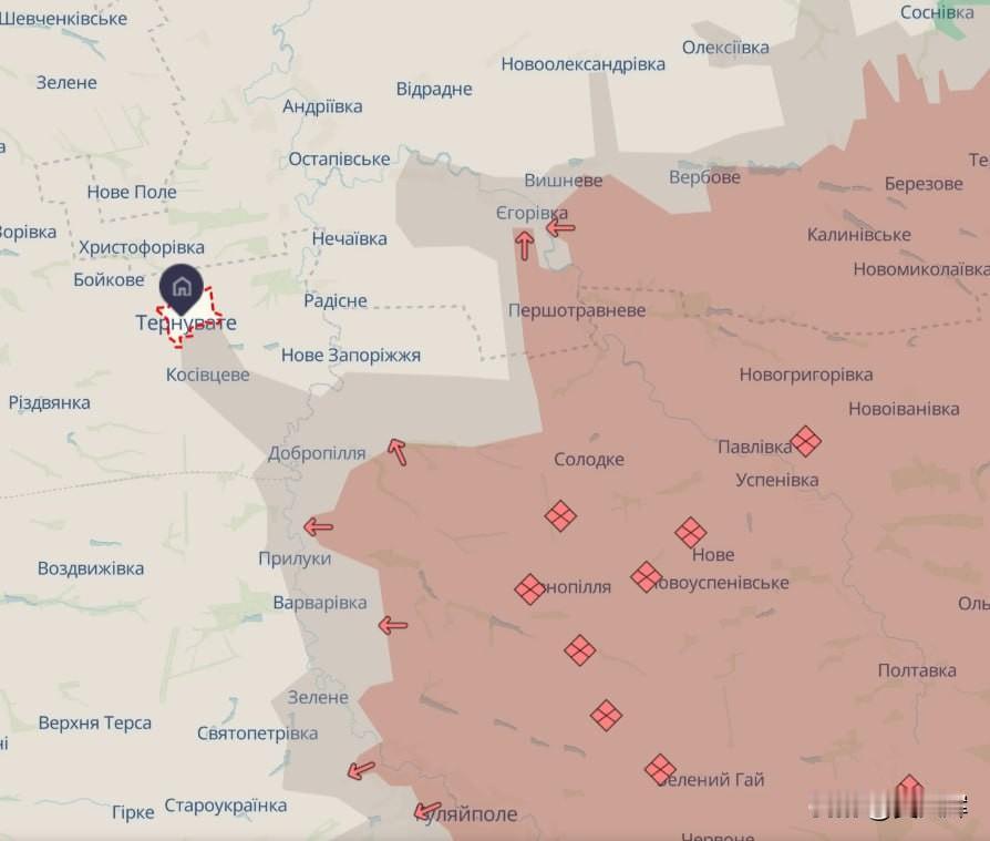 【俄乌激战这两州交界地带】乌克兰战地记者格丹·米罗什尼科夫称扎波罗热州与第聂