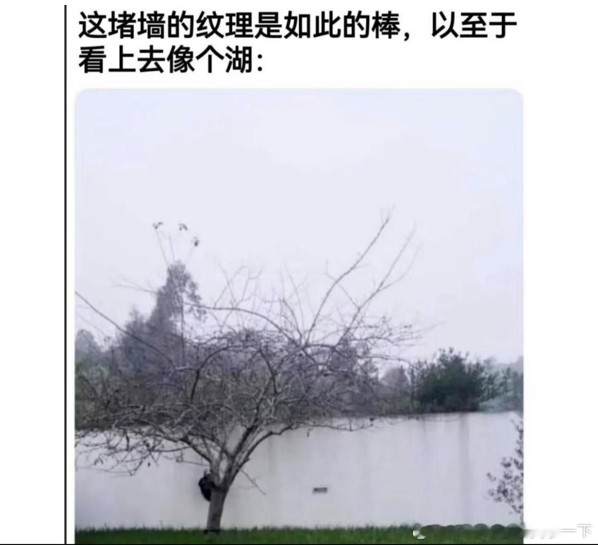 4954真以为是个湖​​​