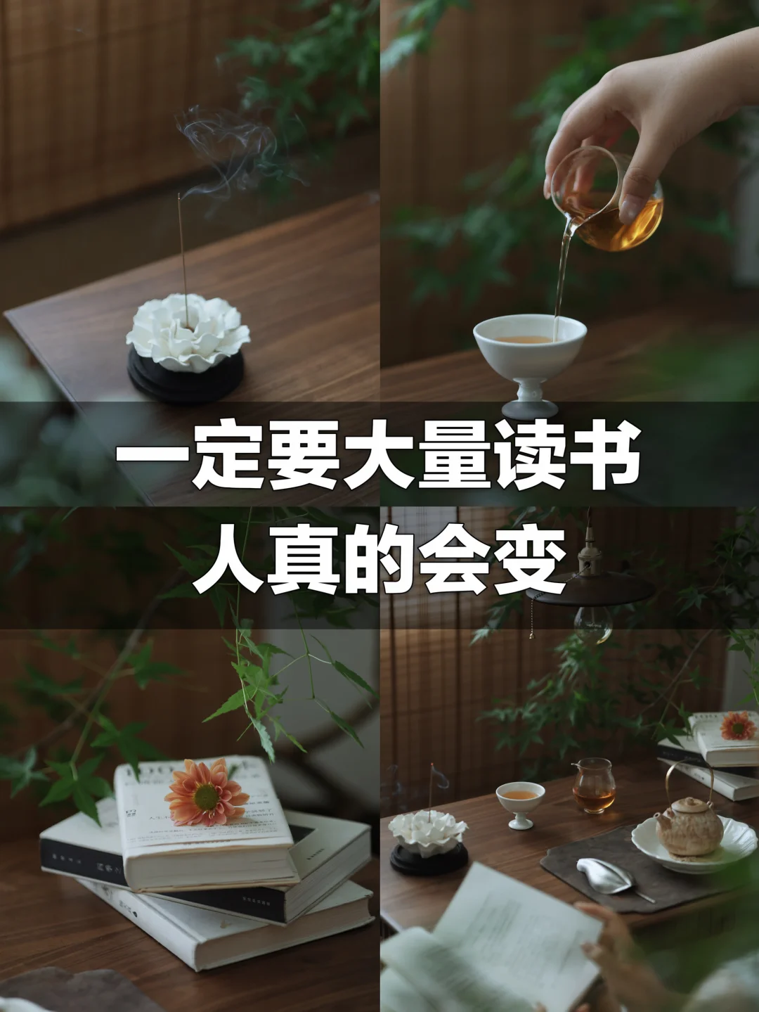 一定要大量读书：书读多了，人真的会变！