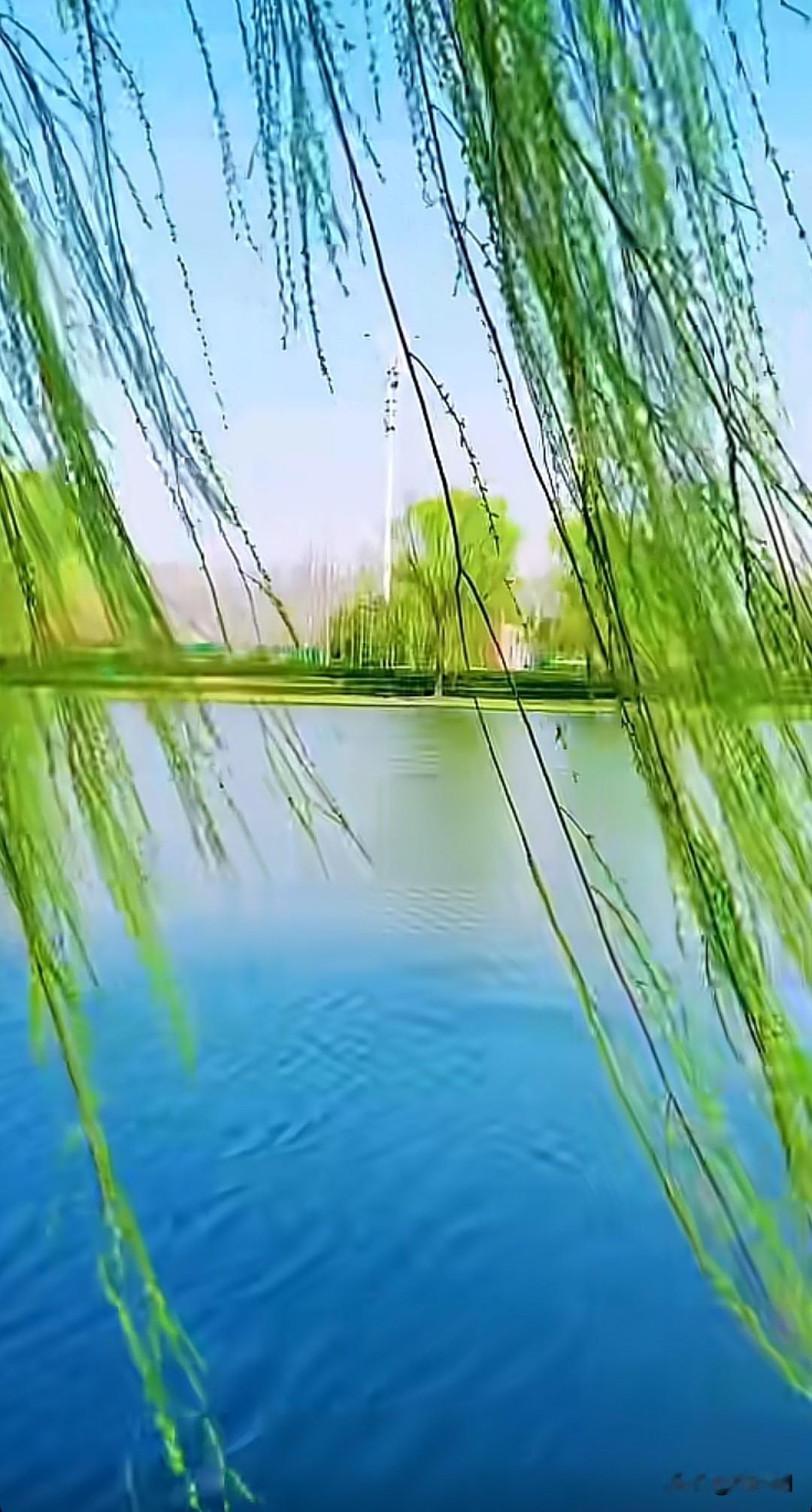 七律·遥远梦故园烟柳梦中萦，久客天涯意未平。雁字横空传尺素，霜华满鬓叹浮