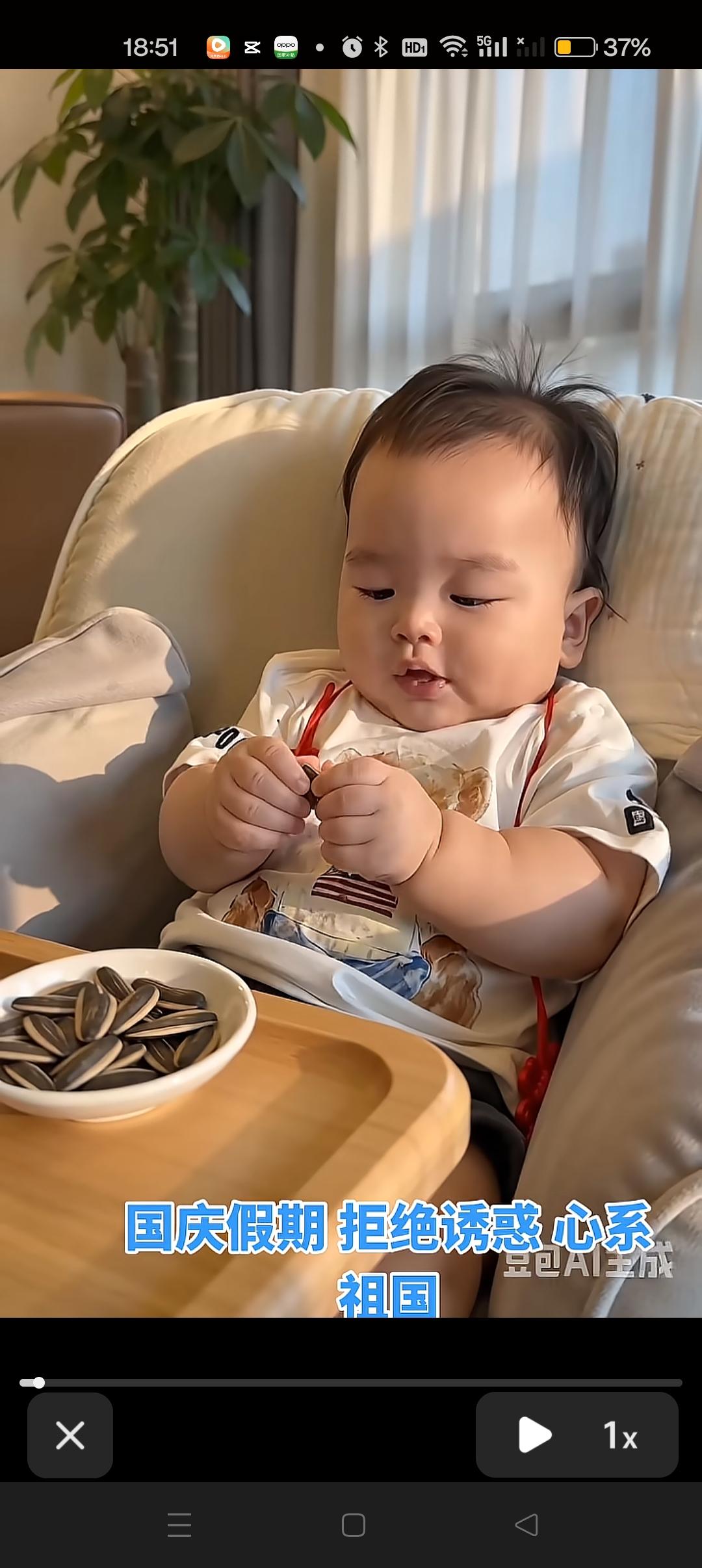汪宝在悠闲的嗑瓜子😍国庆假期拒绝诱惑，心系祖国！他说我一刻都不会和