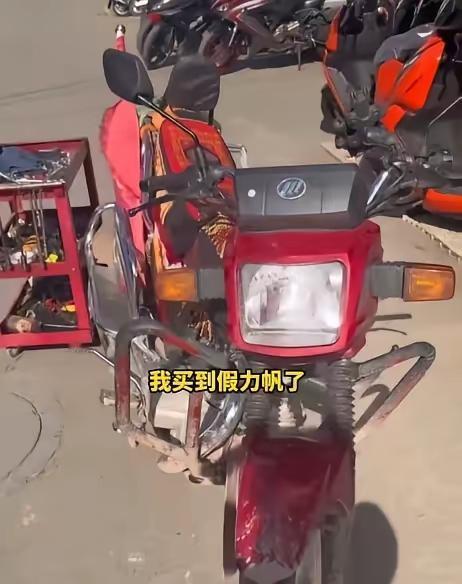 这俩女生的进藏返程经历，简直是硬核buff叠满的程度。一个之前靠轮滑就闯完了拉