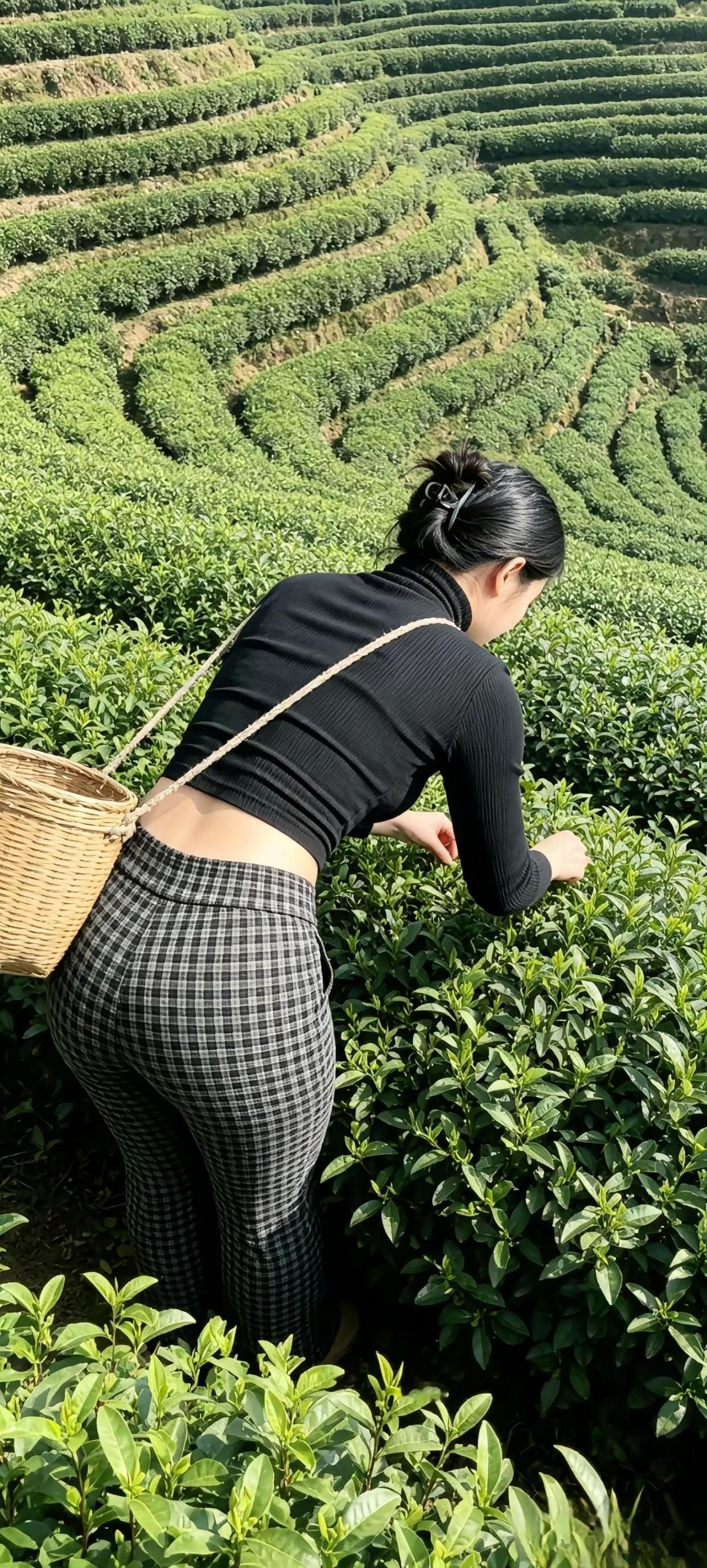 中国人喝茶、以茶待客有上千年的历史了，特别在南方各地，有客人来了不管你会不会喝茶