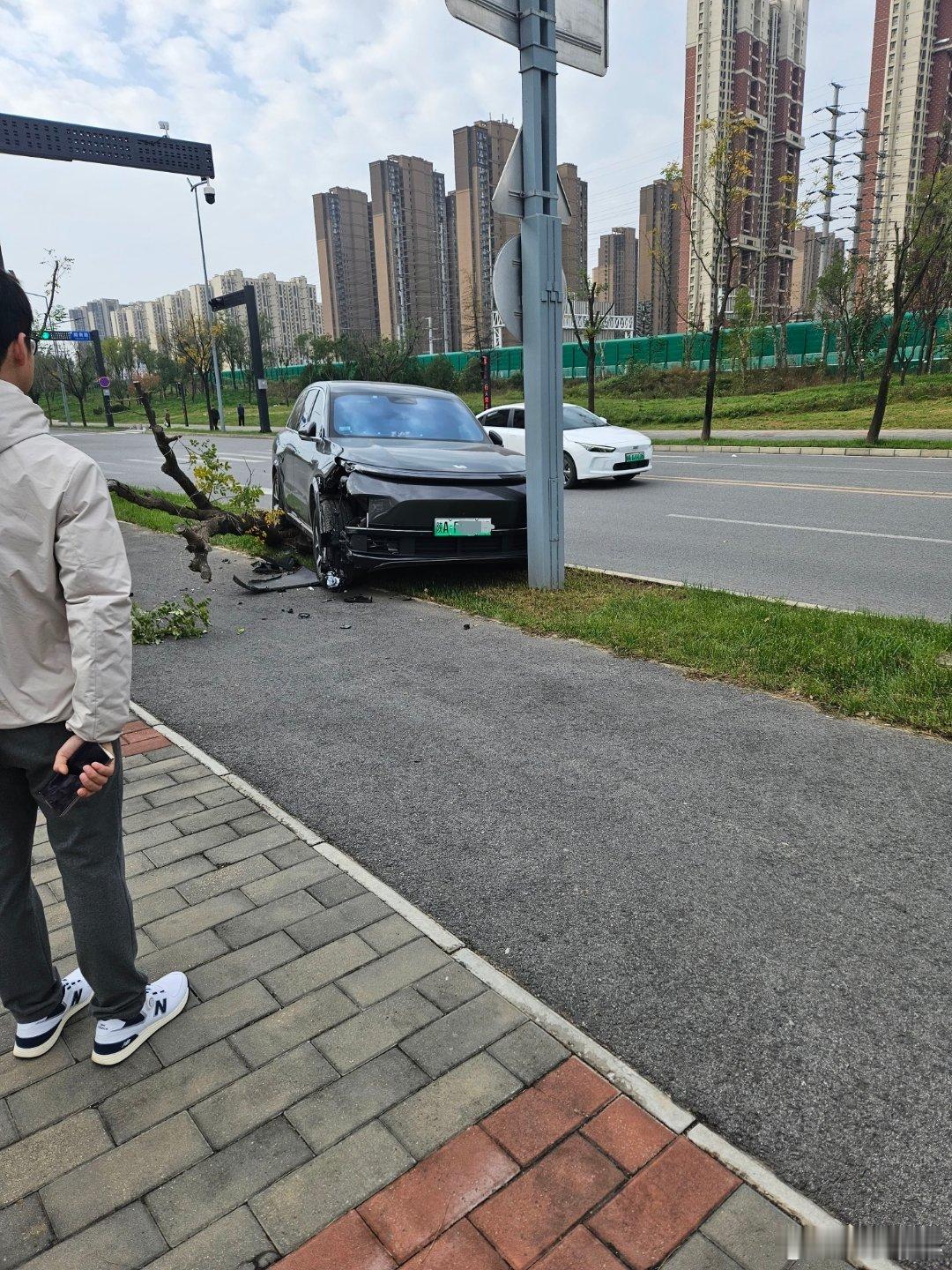 很少见理想上绿化带的，走神了吗？如果没有这棵树可能毫发无损。[doge]​​​