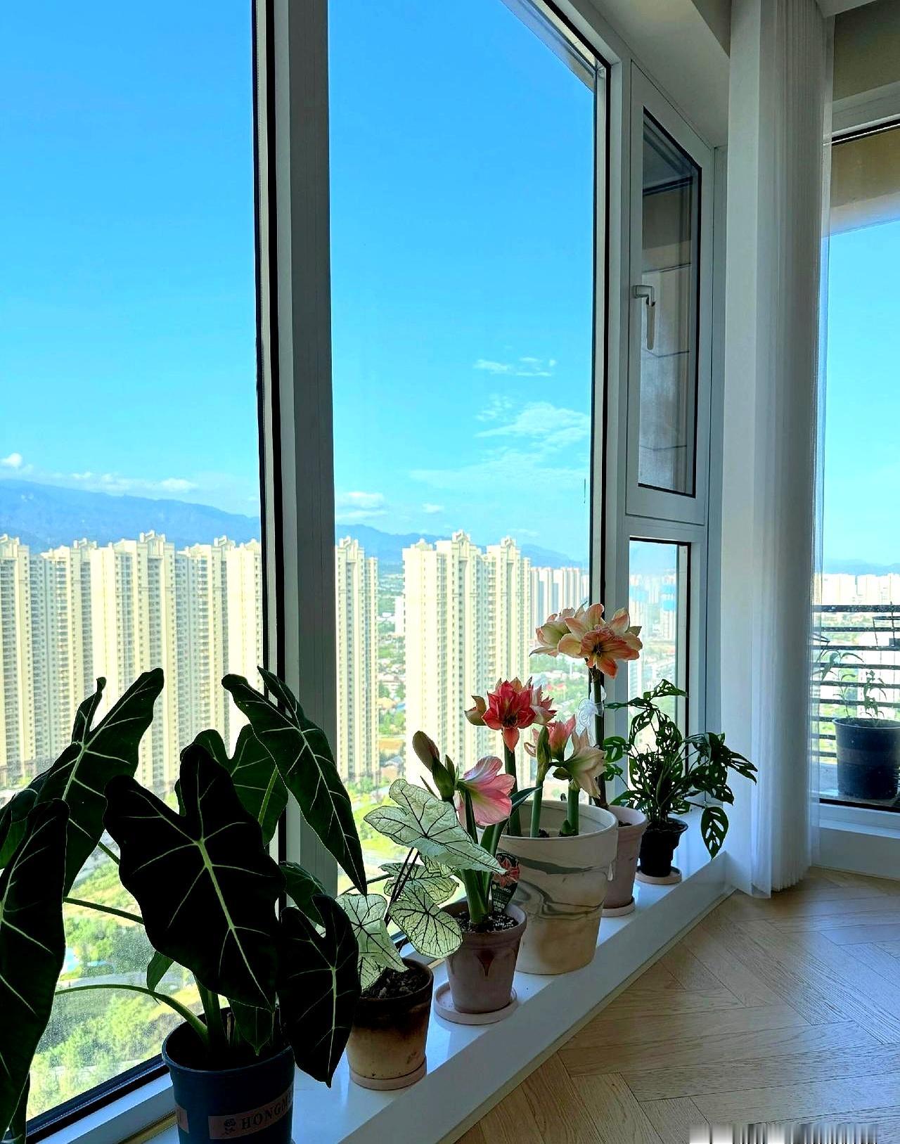 堂哥六十多岁，前阵子把公司交给老二了。老大两口子研究生毕业，端着铁饭碗，压根没