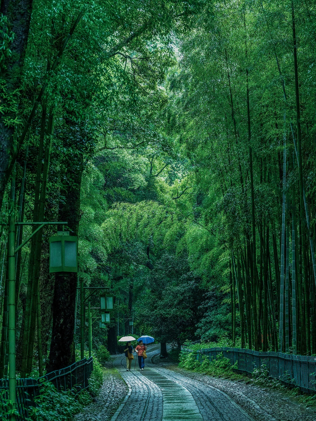 🌧️我说梅雨真烦，你说烟雨江南…算了，说不清