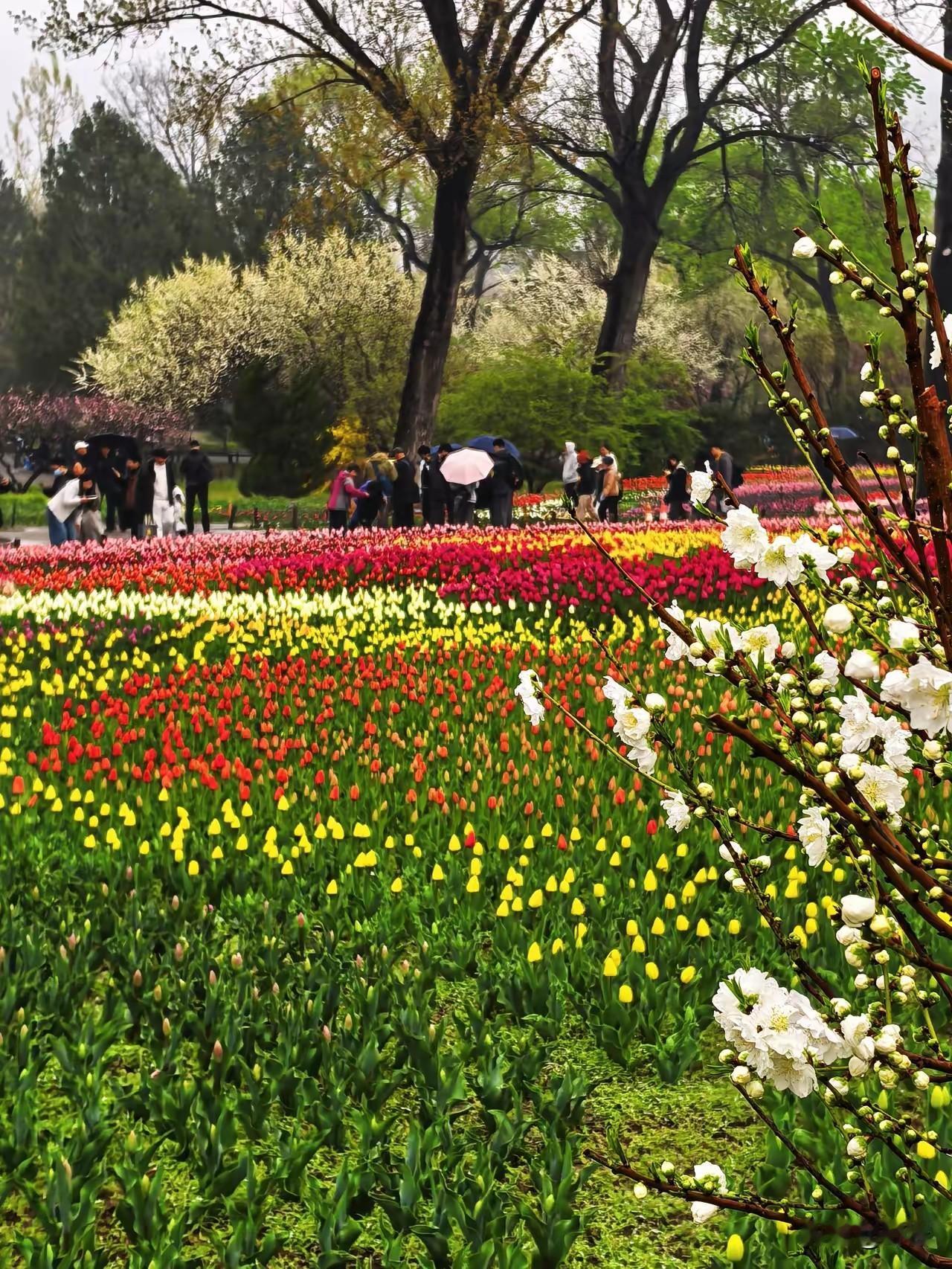 高情商父母具有的特点1. 不跟孩子争对错，只解决问题遇到矛盾先共情，不指