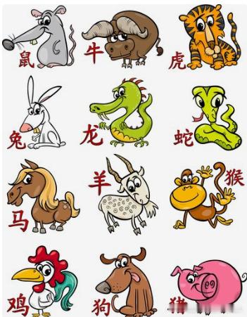2026年下半年十二属相都能获得什么：一鼠：走出困境，咸鱼翻身二牛：感情甜蜜，财情双收三虎：一切顺利
