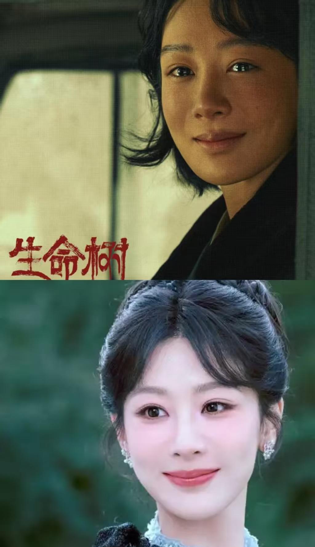 《生命树》里，胡歌把自己“埋”进土里，杨紫却连偶像包袱都舍不得撕。观众的眼睛是