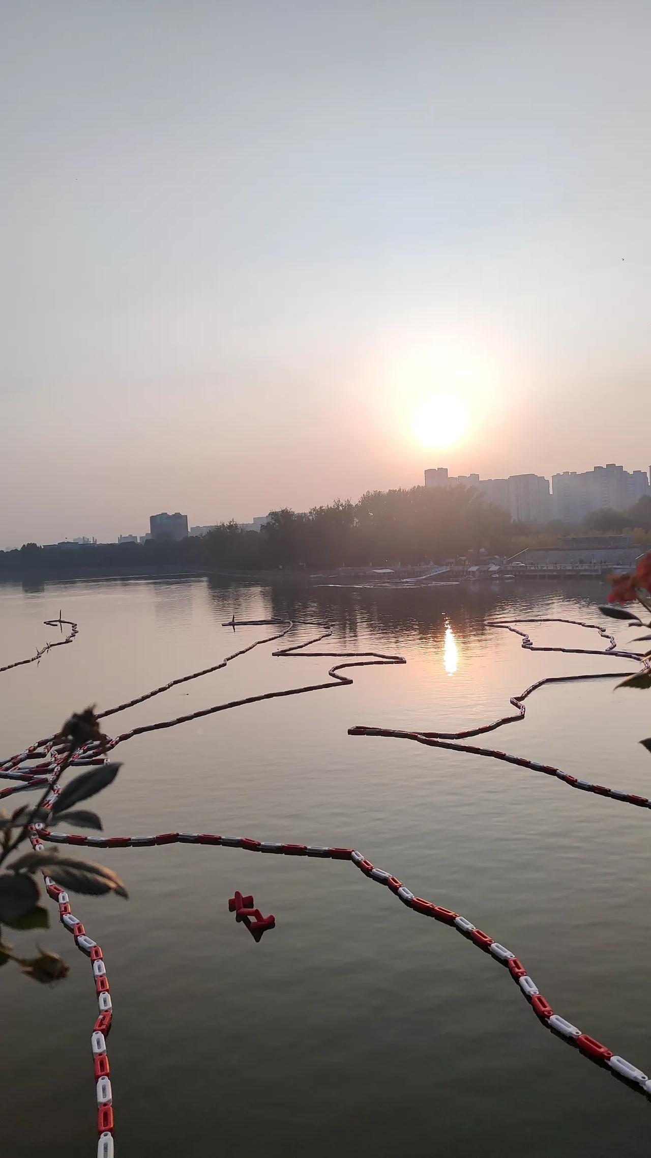 话说南阳光武桥弄这一道道的是干啥用的？今，天好。河上风景不错，在河边逛了一圈