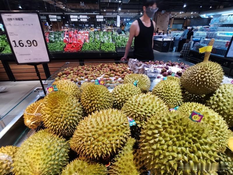 国内种植榴莲，海南可是当仁不让的“主力军”。像海南保亭，榴莲种植产业那叫一个蓬