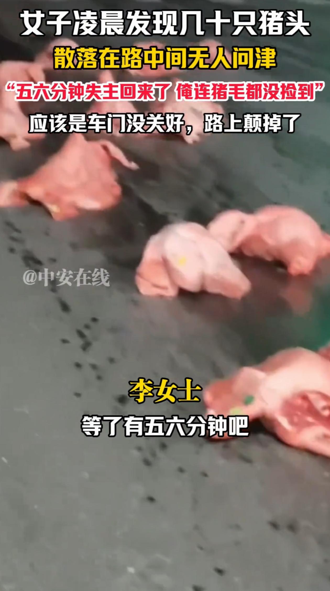 万万没想到！湖北武汉，女子半夜回家，发现路面上有十几个不明物体，她走上前去仔细一