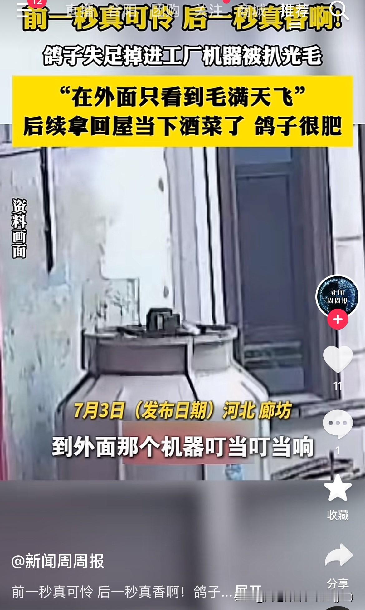 这鸽子想不开了把自己变成下酒菜了。近日，河北廊坊一只鸽子飞着飞着突然失足掉进正