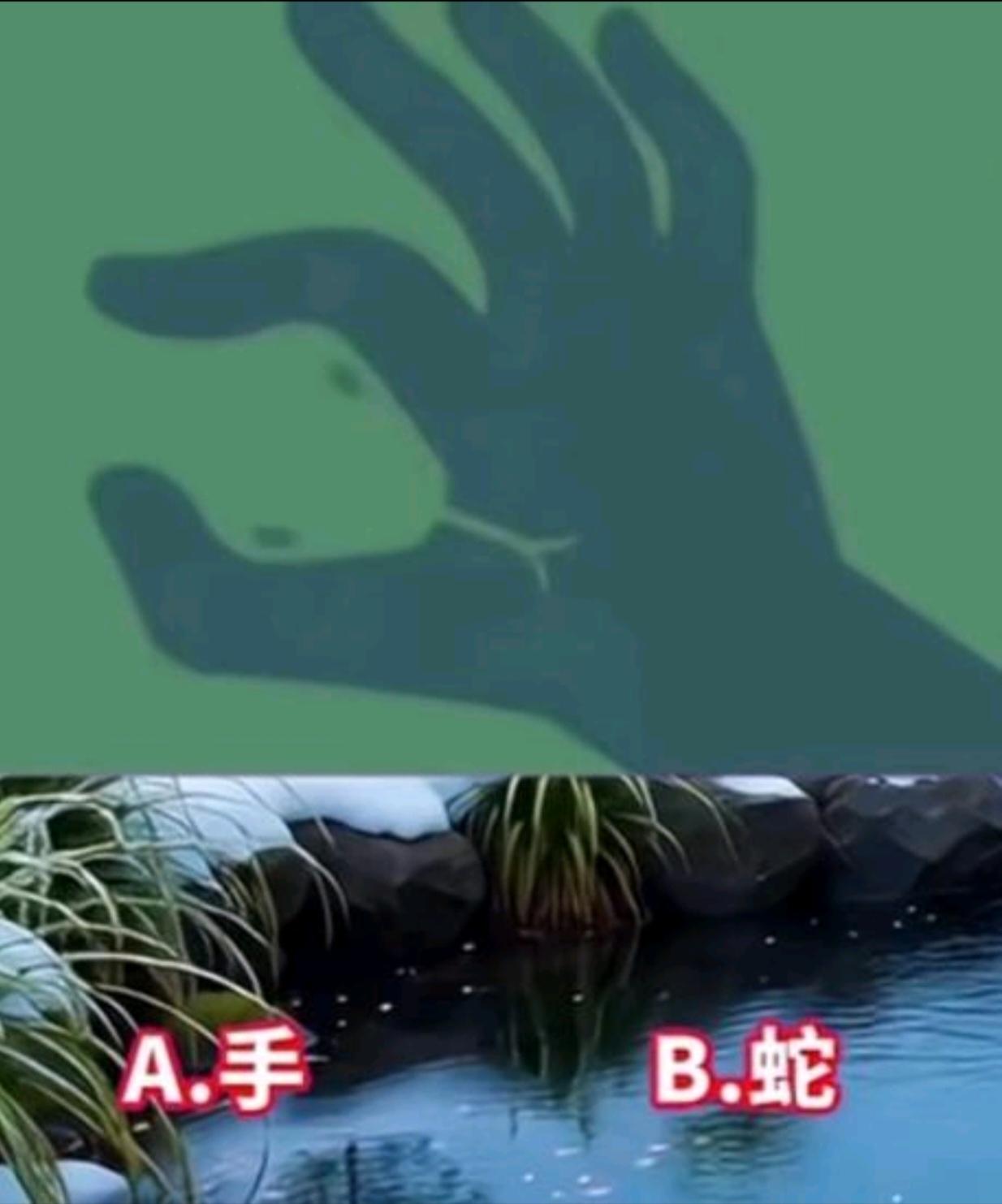 〔生理卫生知识〕人体的四大基本组织之一的：3. 肌肉组织负责收缩运动，分骨