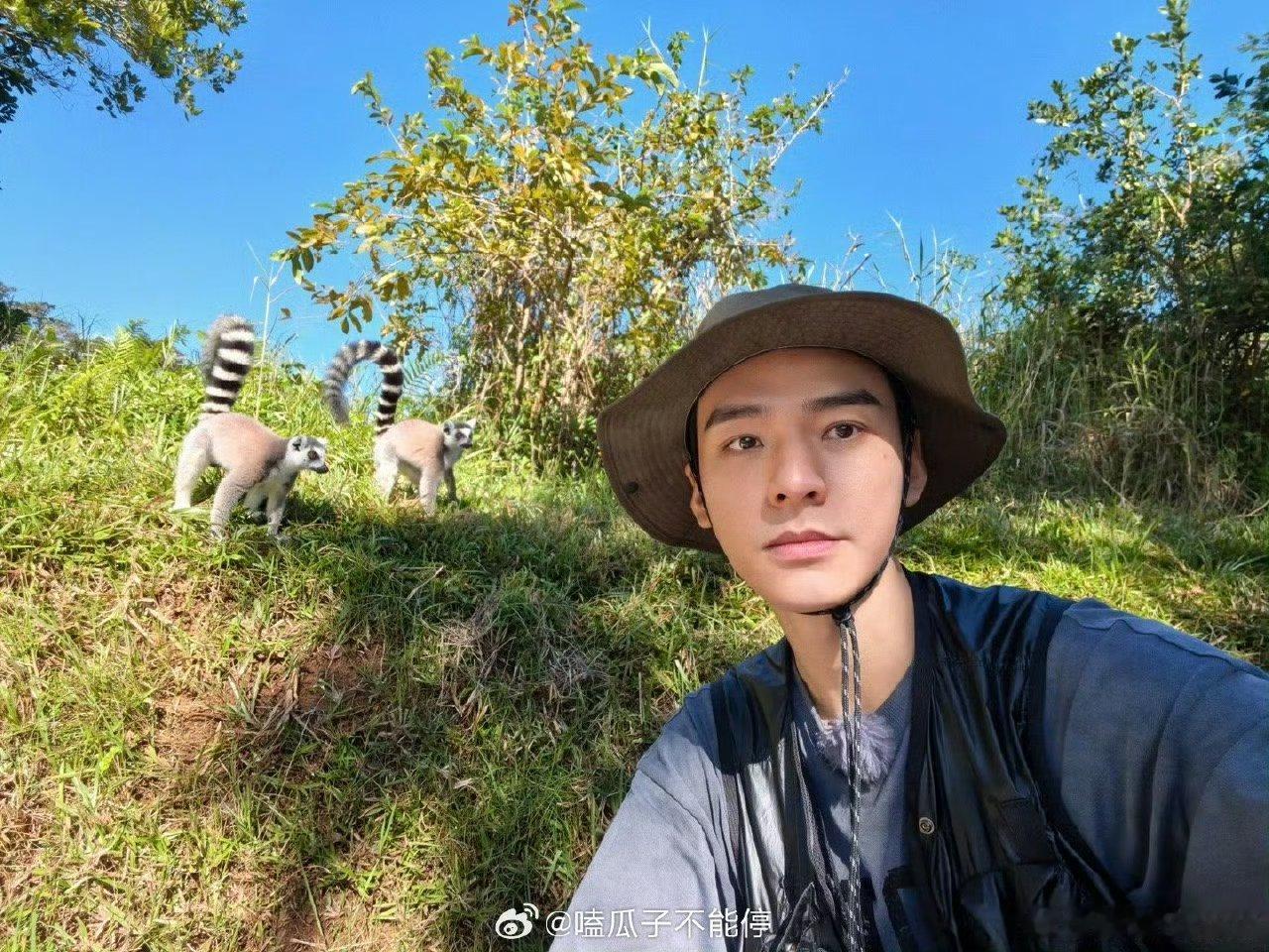 龚俊发来旅行明信片咯，和小动物合照很萌唉[点赞]​​​