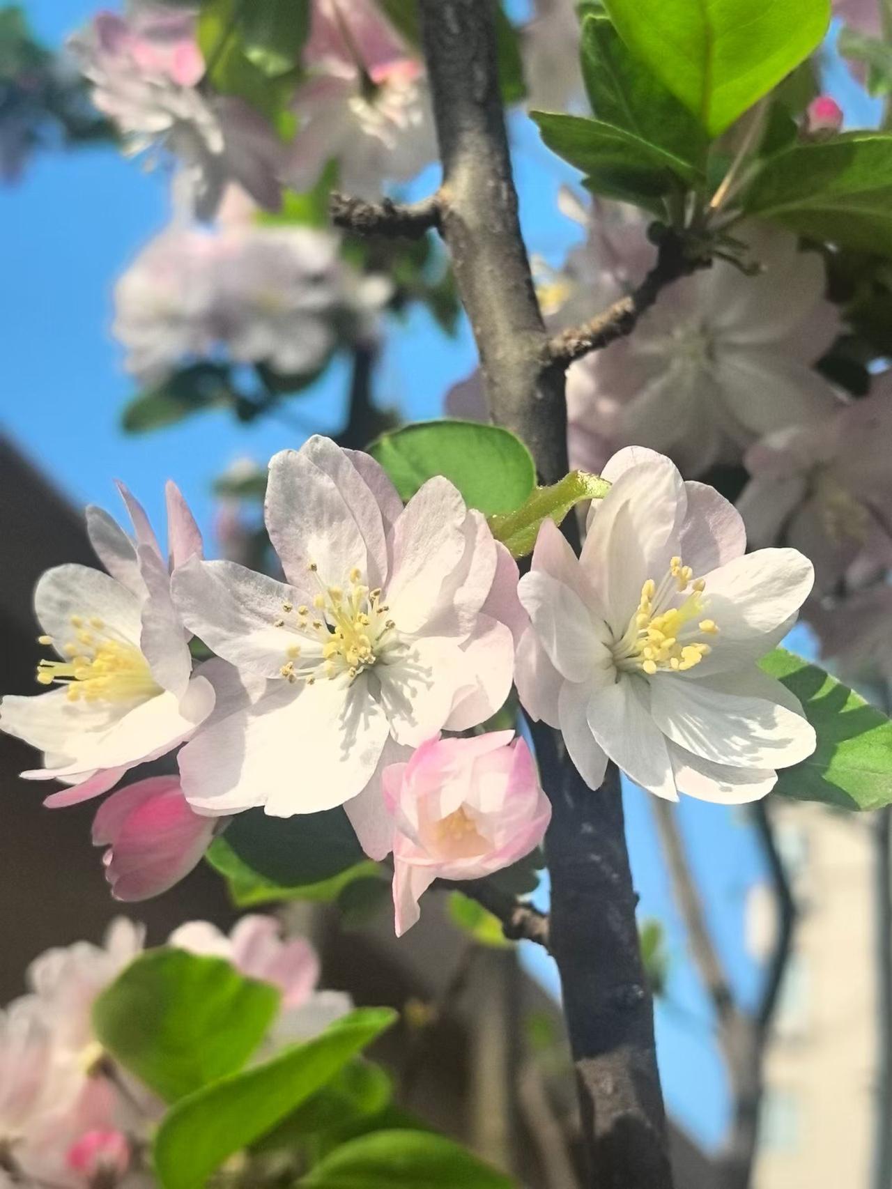 女人出现断崖式衰老，有三个信号：growold!1，精力变差：以前熬夜第