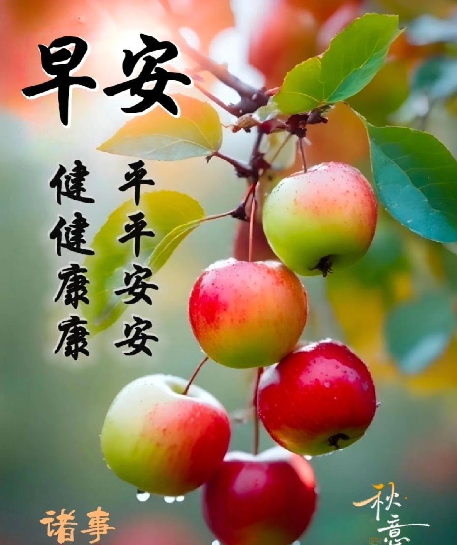 [玫瑰]早上好[玫瑰]平平安安，健健康康。暖心的问候总在早上，相互的牵挂总