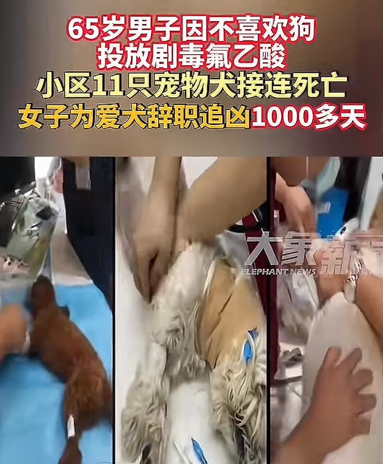 北京首例宠物中毒刑诉第7次延审。65岁男子因不喜欢狗投放剧毒氟乙酸，小区