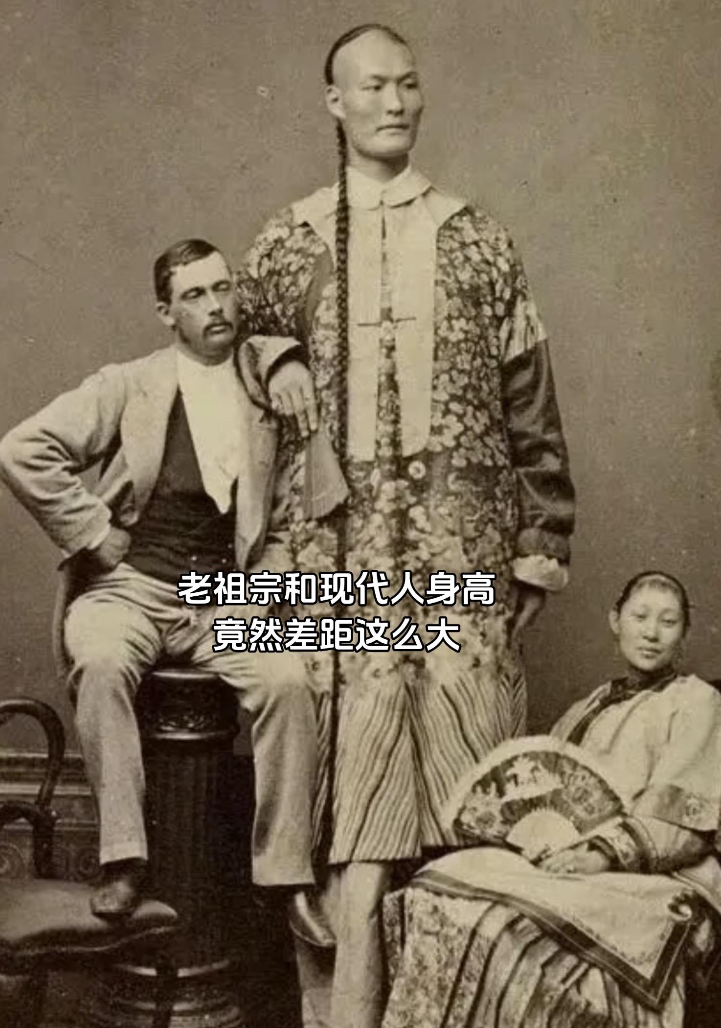 原来老祖宗如此高大，人类越进化越矮了