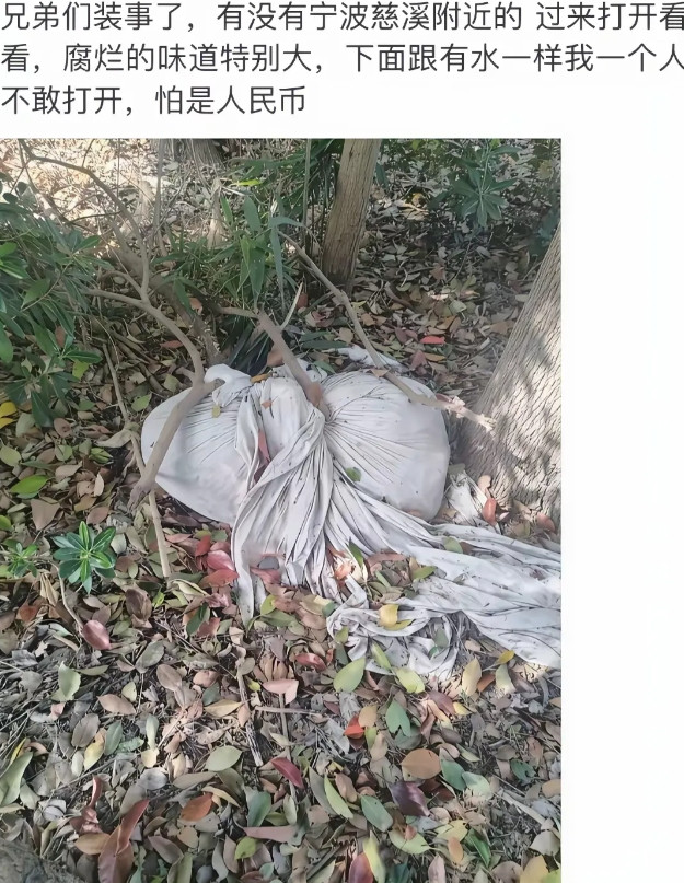 会不会是人民没有币呢？