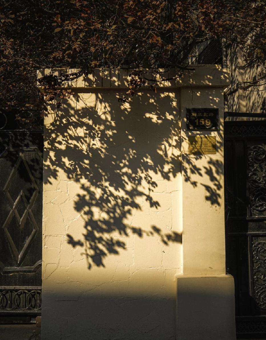 宗萨仁波切：“你知道为什么你明明不张扬，很低调，还会惹来很多恶意吗？那是因为你表