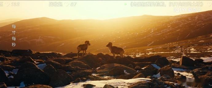生命树越往后越刺激谁懂啊！生命树越追越上头，冲突直接拉满，剧情节奏快到停不下来，