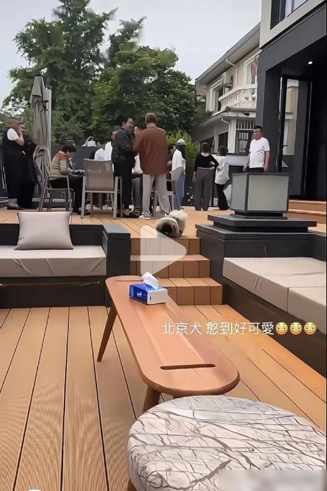 每月100万的抚养费一断，S妈反手就带着全家搬进了汪小菲的别墅，很多人一下没看懂