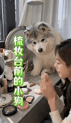 狗狗：再画还是那鬼样子女主人要带狗狗出去溜湾，狗狗满是期待。它端坐