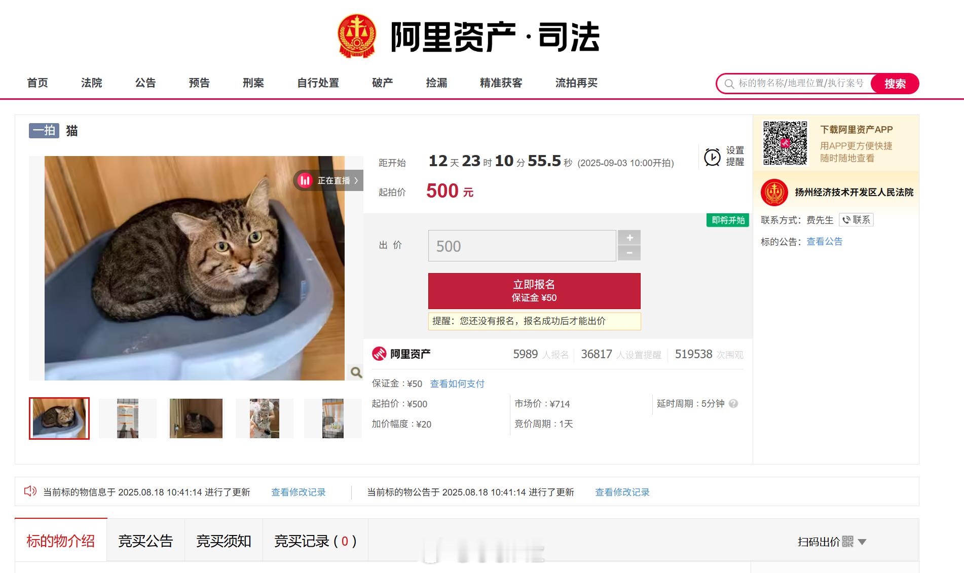中国第一座私人监狱——开心宠物店可怜的小猫出生没多久就坐牢了​​​