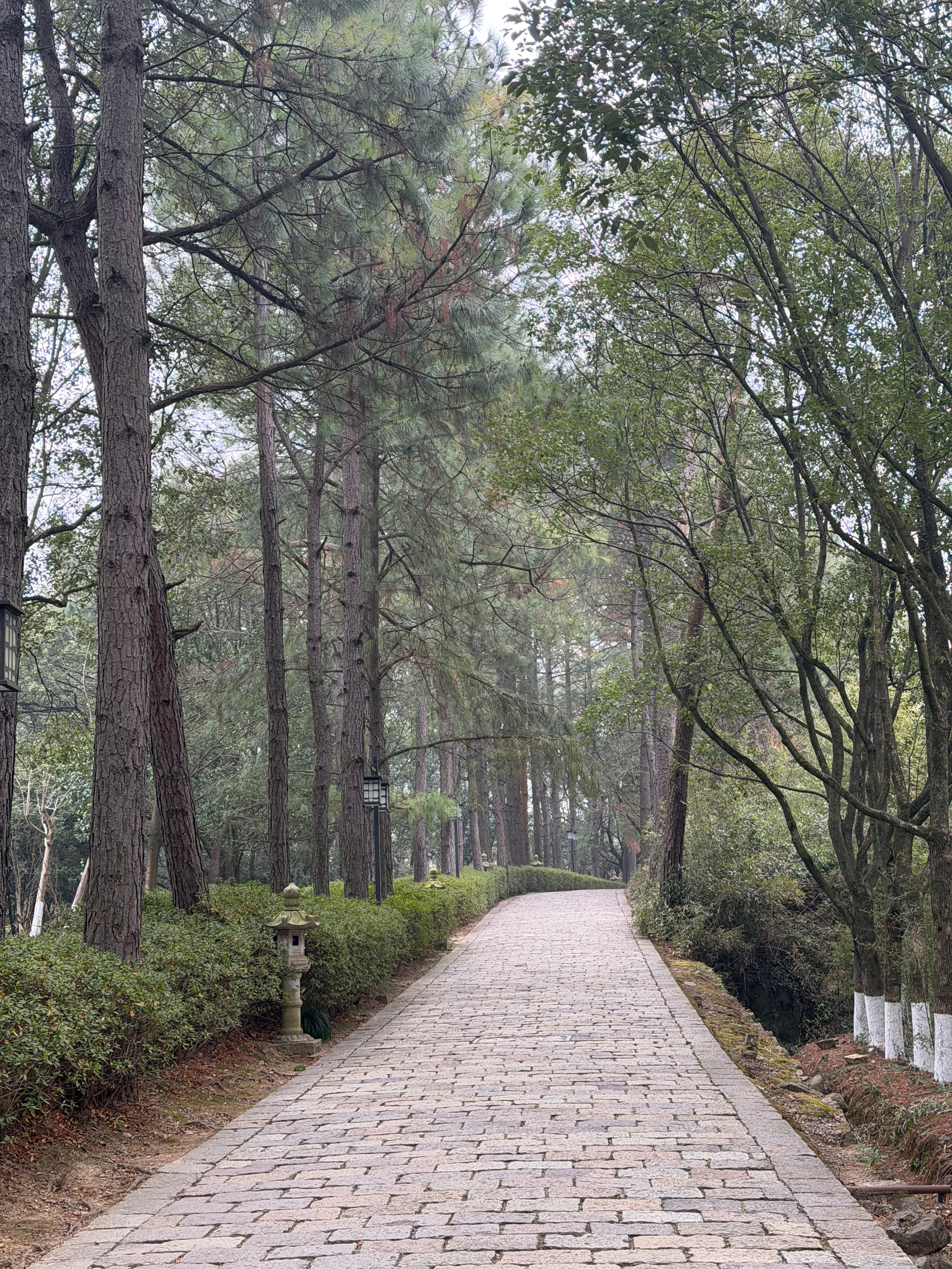 iPhone长焦出片我一直觉得长焦真的巨好用一方面苹果这颗长焦素质真的非常高！