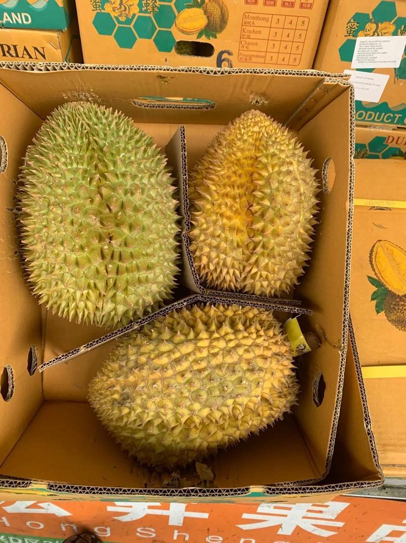 五一广州最火的不是景点，是榴莲！江南批发市场彻底被榴莲攻陷，有人拖着行李箱囤货，