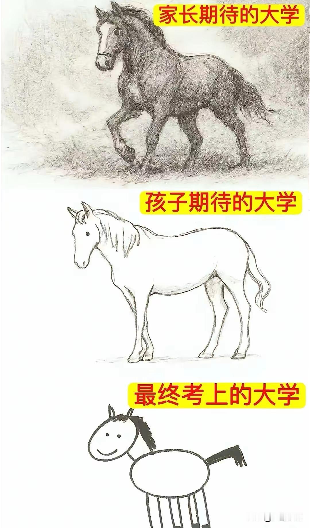 不敢看，真的是太形象了！