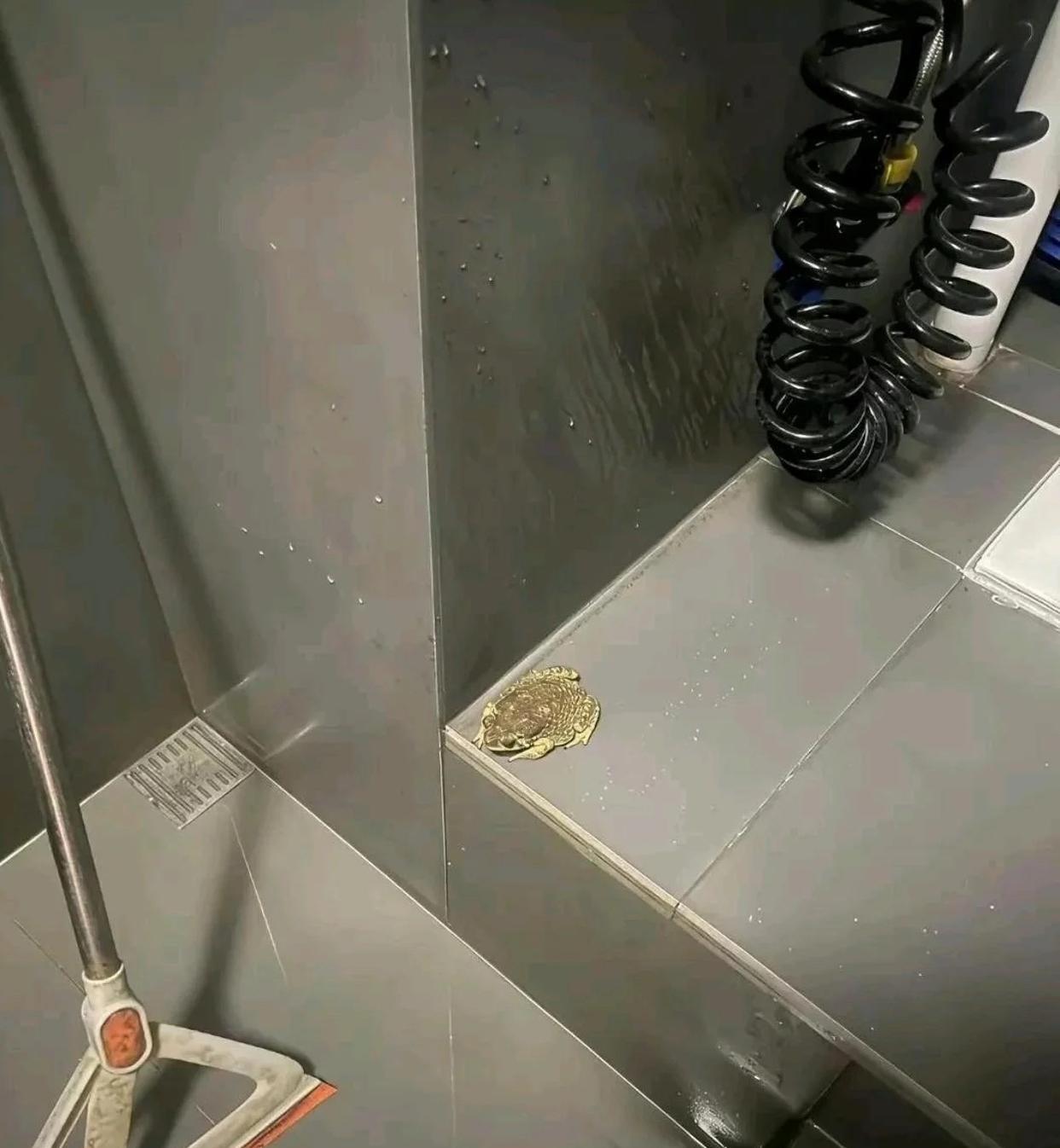 在卫生间里发现的，我想知道我住在28楼怎么上来的！