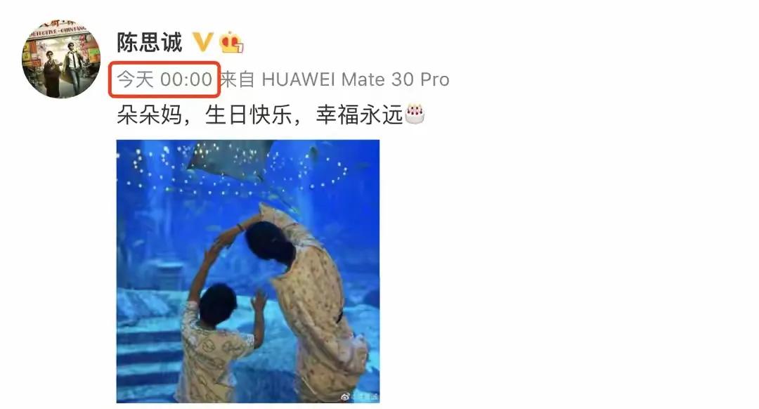 佟丽娅和陈思诚这对关系也算是娱乐圈独一份的存在了。两人2021年时离婚，但陈