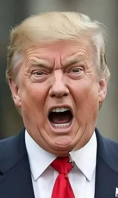 被我说中了!美国总统突然宣布:10月29日,美国总统特朗普在韩国举行的APE