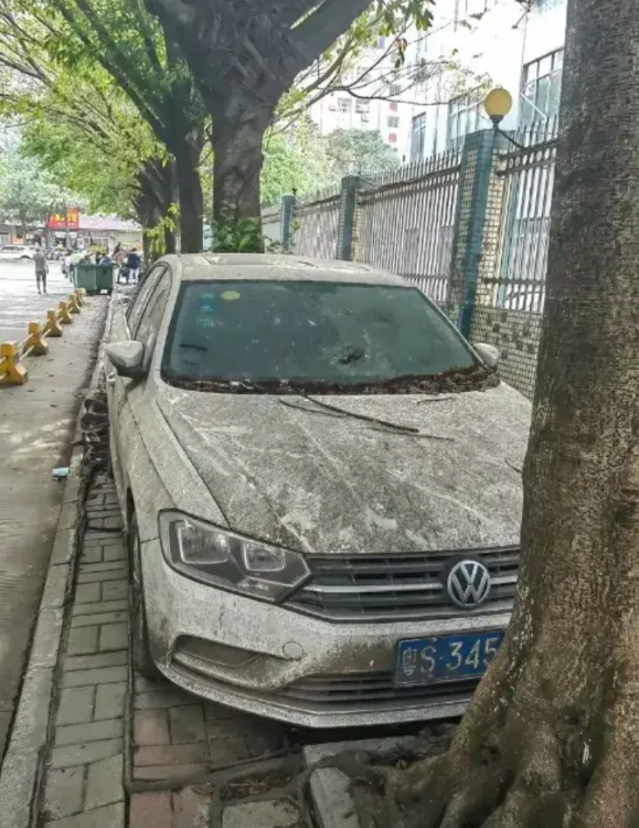 太蹊跷了！东莞的这辆车停在路边，一停就是三年。东莞的一个阿姨在网上爆料，三年前她
