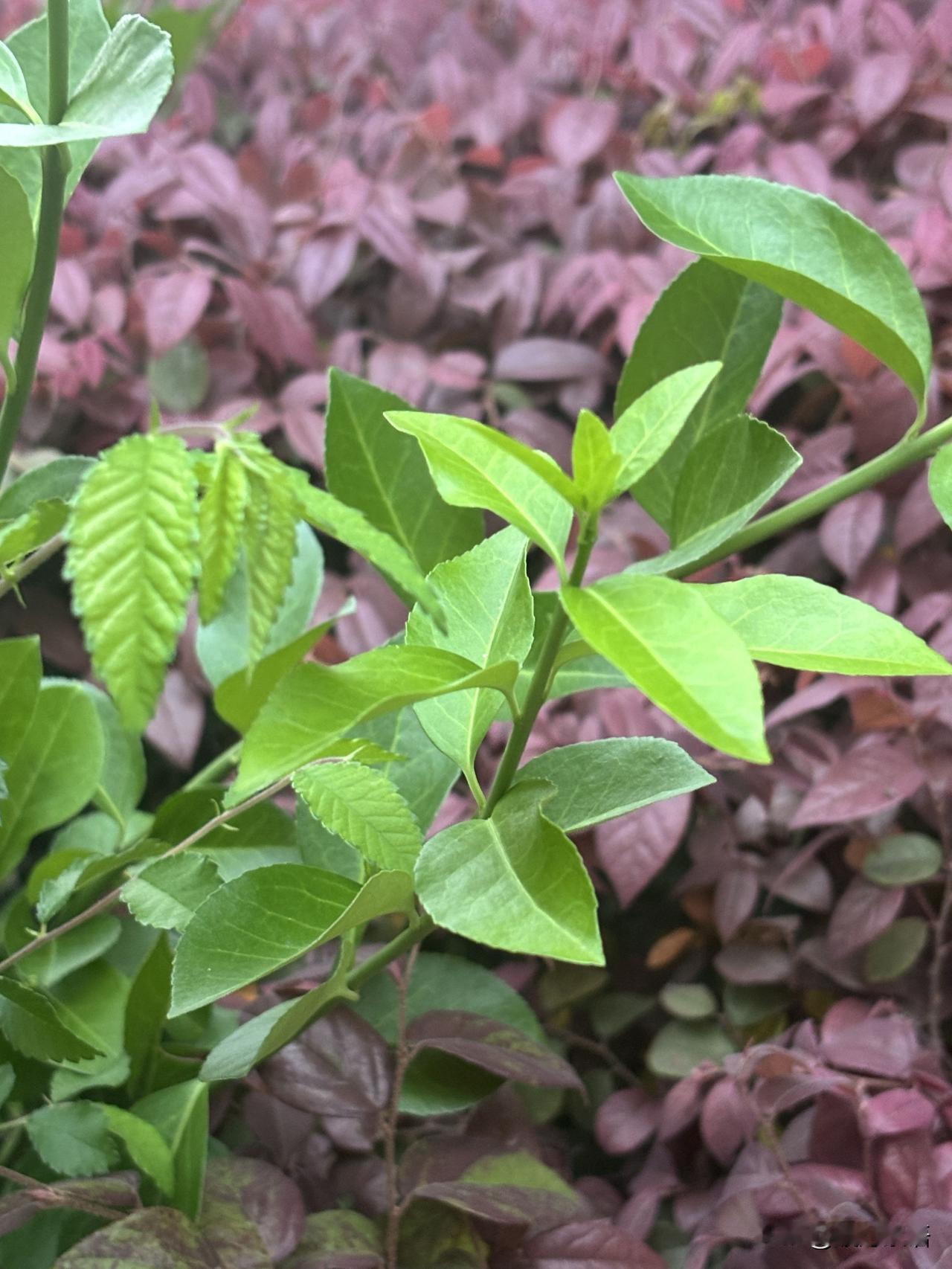 80岁老人真心劝告：退休后的老年朋友，得学会这8个本事人到老年，过日子不求大