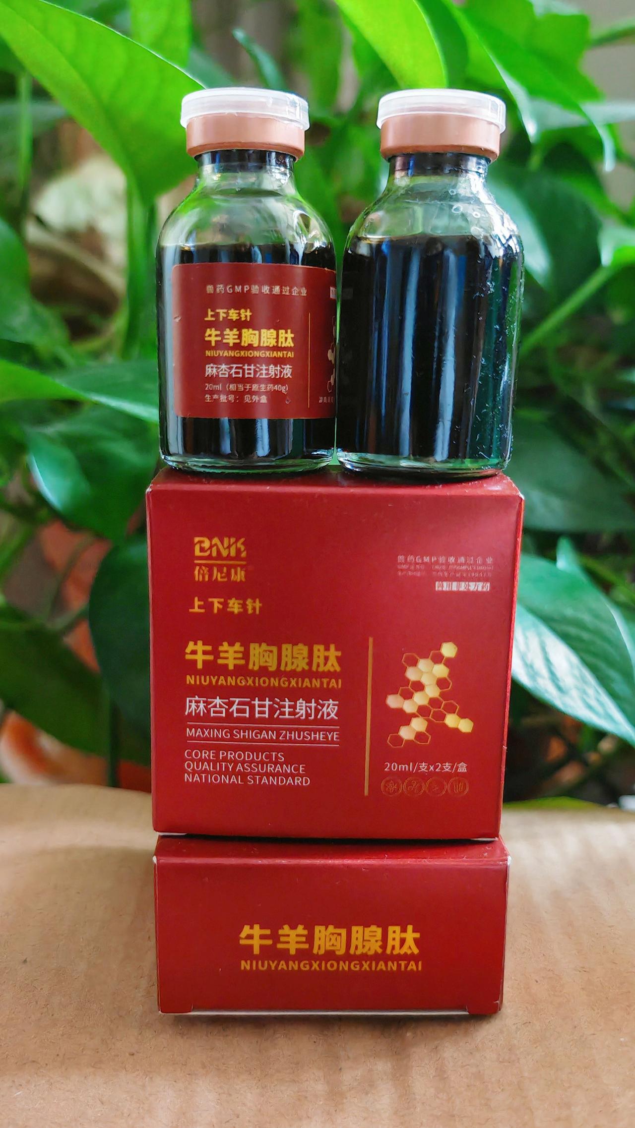 养羊人农村养羊牛羊养殖