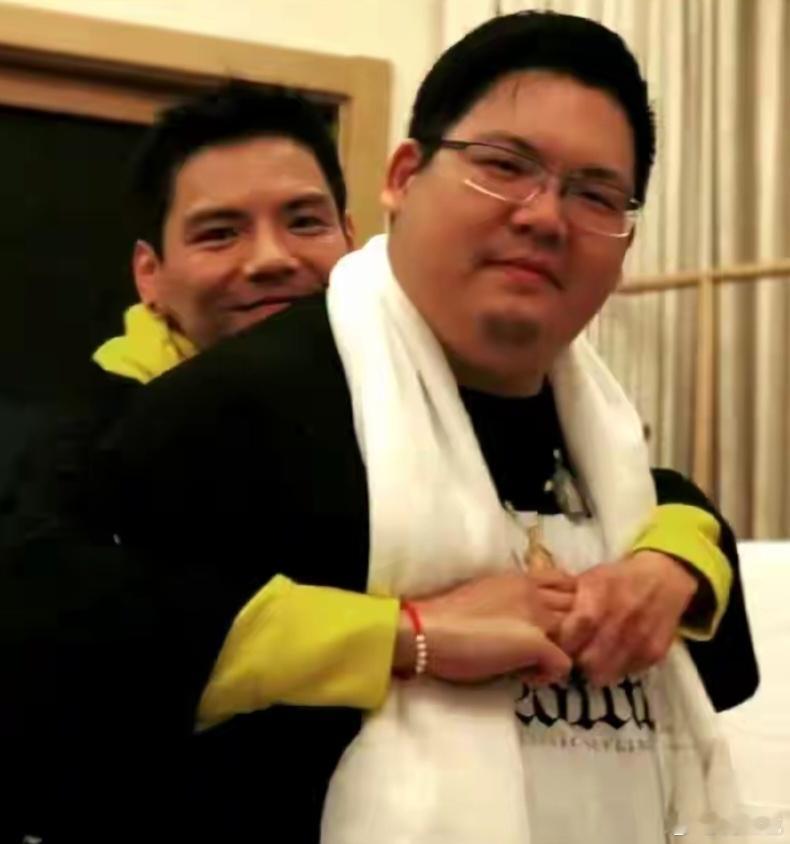 根据向太陈岚2025年11月16日在视频中的自述，向佐、向佑幼年赴美参加夏令营时