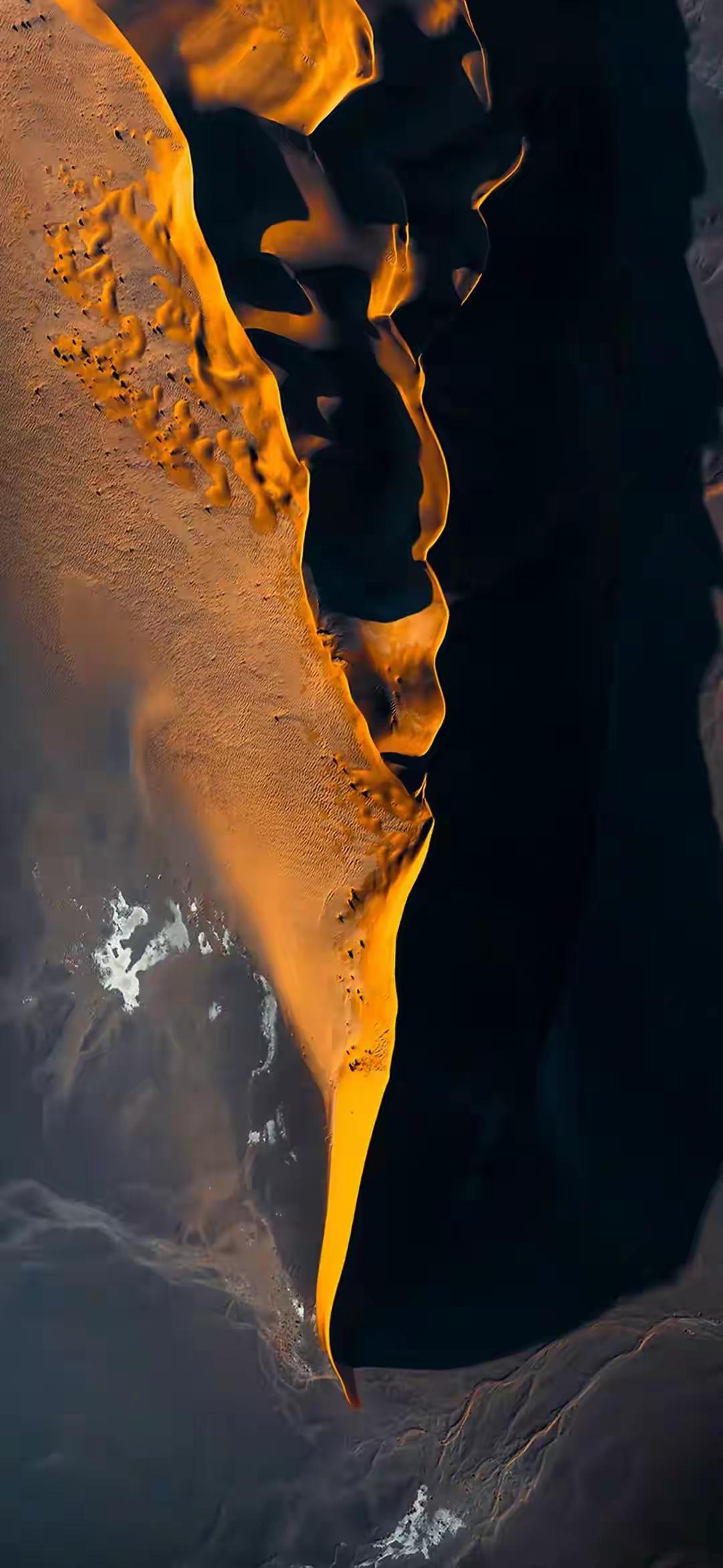 你有没有发现这个世界很现实如果你没有价值即使你是人畜无害温顺无比的小猫