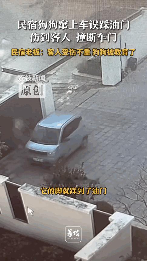 “离了个大谱！”12月9日报道，浙江湖州，一男子开车送客人离开时，狗狗突然窜上了