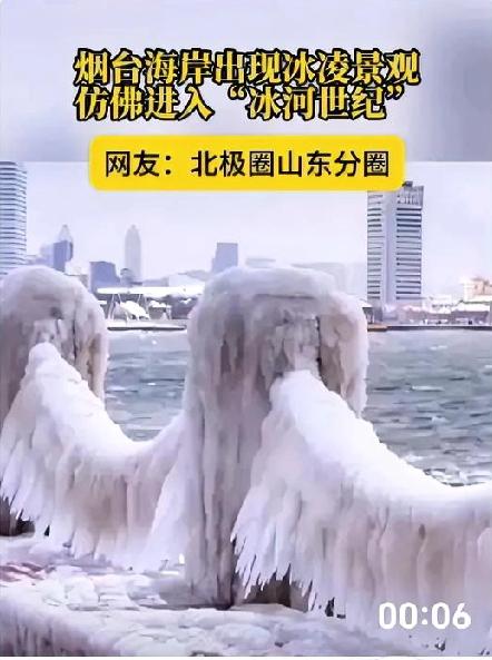 最近烟台下大雪后海边出现奇景：被厚厚的冰雪覆盖着的沙滩下，密密麻麻爬满了蛏子