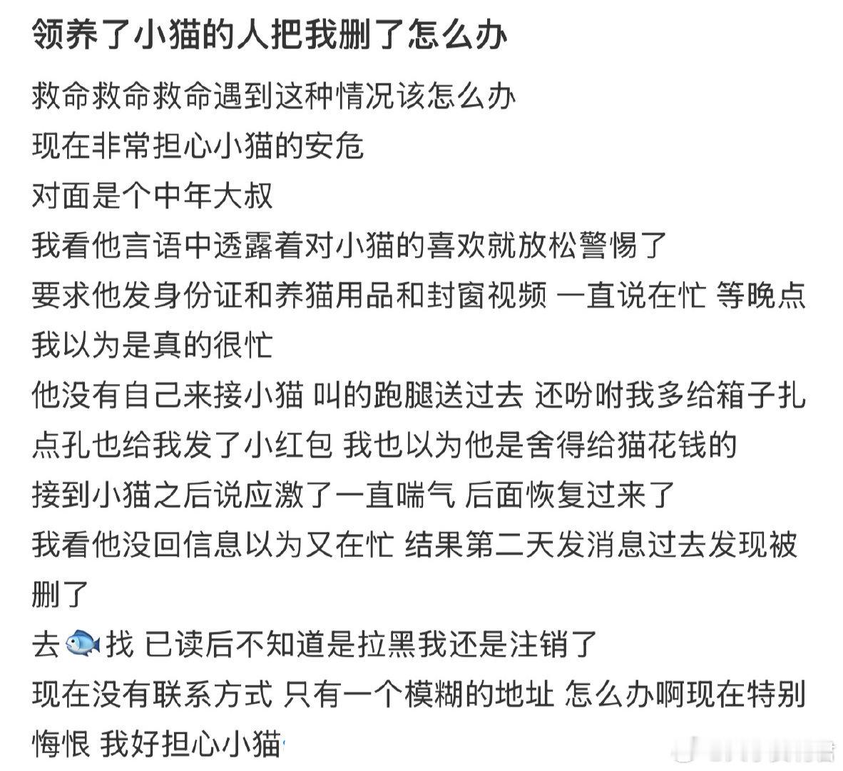 领养了小猫的人把我删了怎么办​​​​