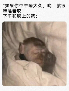 下午和晚上的我