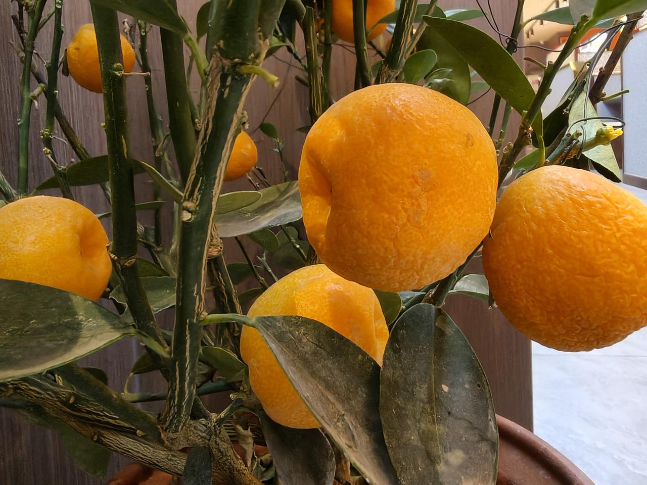 想在北京买套房！北京的许多地方房价已经看到掉价了，自从从山东老家回来，突然有想