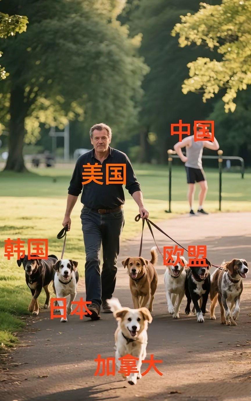 这就是当今世界的样子，虽然形象生动，但图不应景呀，应该美国牵着一群狗对着我们叫才