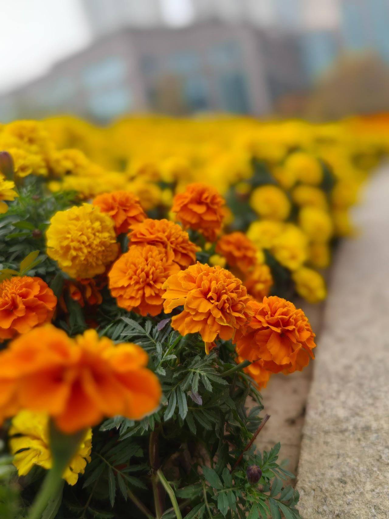 退休后，最快乐的事是可以不用强颜欢笑的和不喜欢的人打交道。退休后，在于安逸、