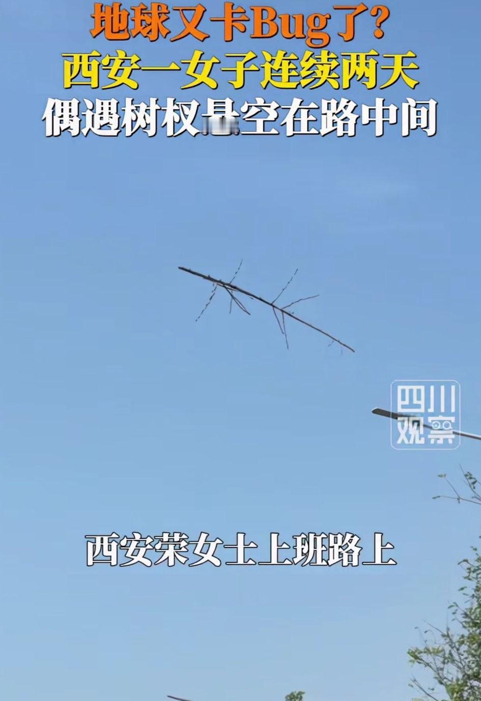 🌞笑不活了！7月9日，西安一女子在开车上班途中，看见一根断裂的树杈，悬浮在