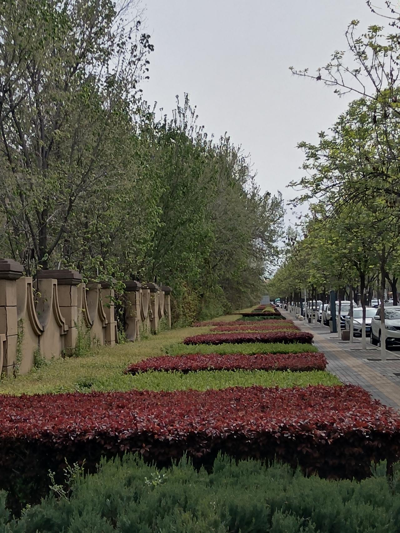 今天是2026年4月20日，我们迎来了春季最后一个节气谷雨。今天也是昌吉正式停暖