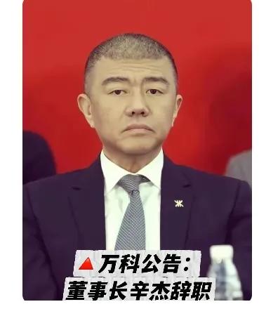 万科负债8700亿我还能琢磨琢磨，辛杰失联我也能试着理解，可他失联24天一出来就